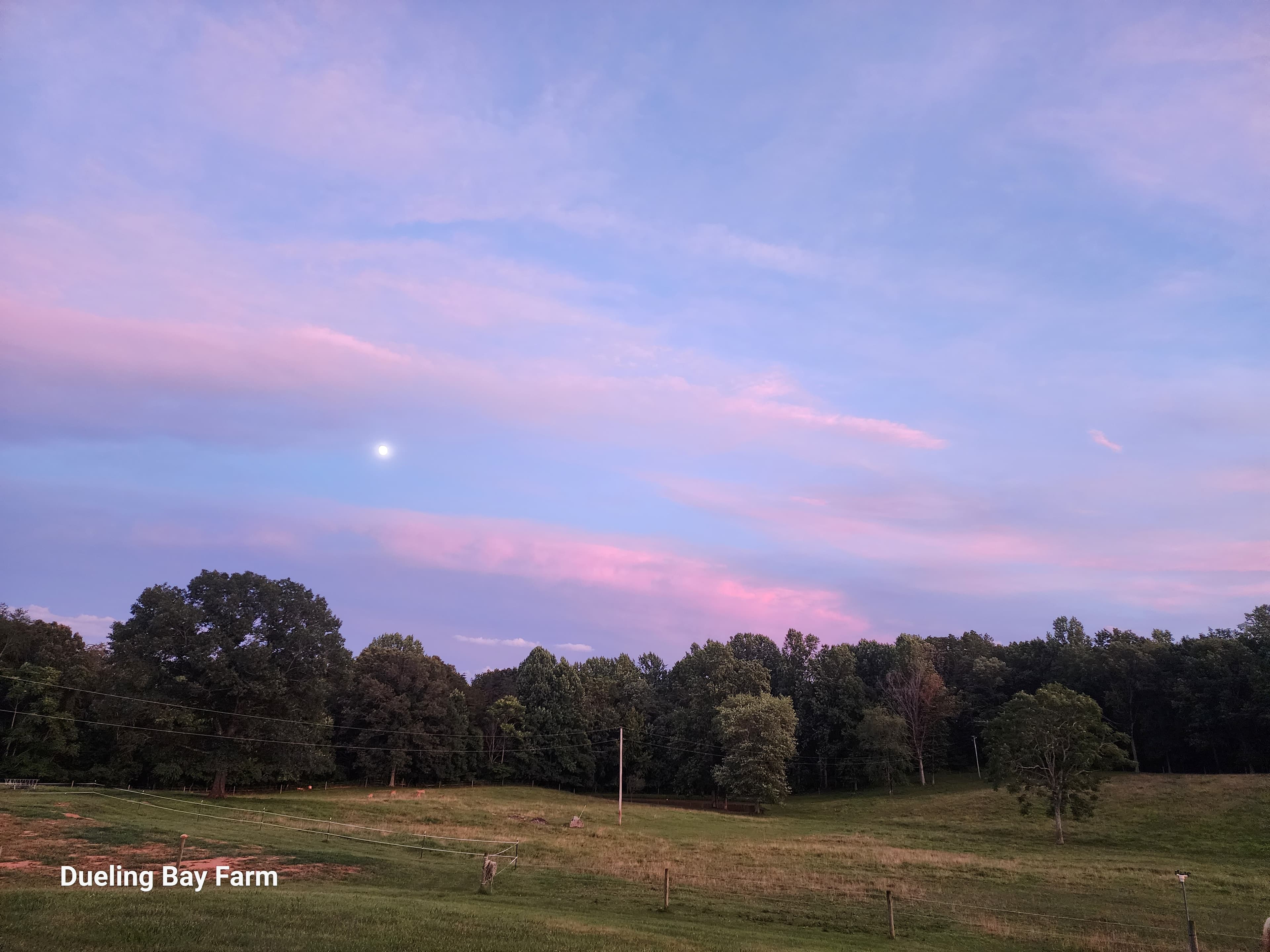 Field & Full Board in Castleton, VA - Image 1