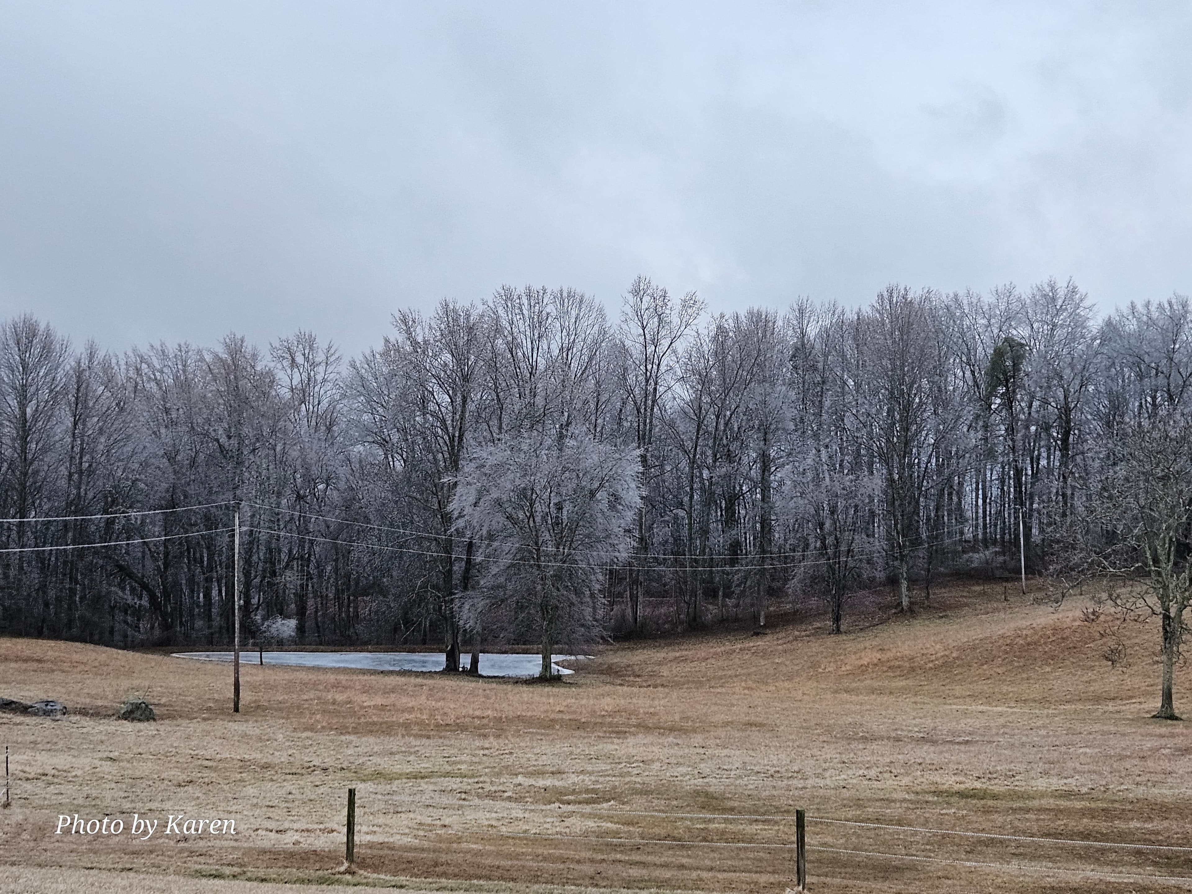 Field & Full Board in Castleton, VA - Image 2