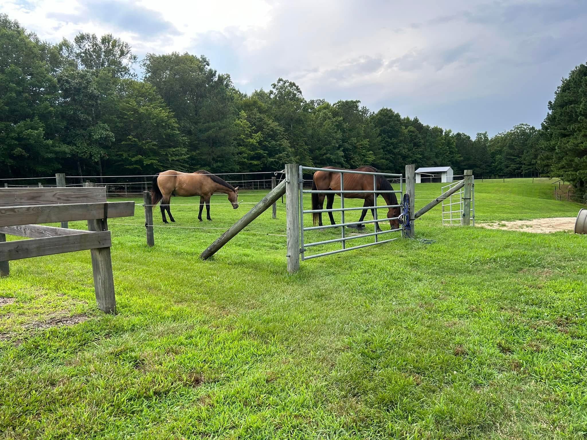 Retirement Boarding in Lanexa, VA - Image 1
