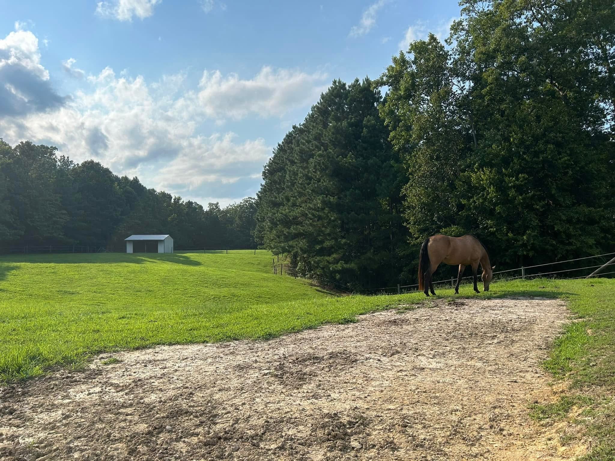 Retirement Boarding in Lanexa, VA - Image 5